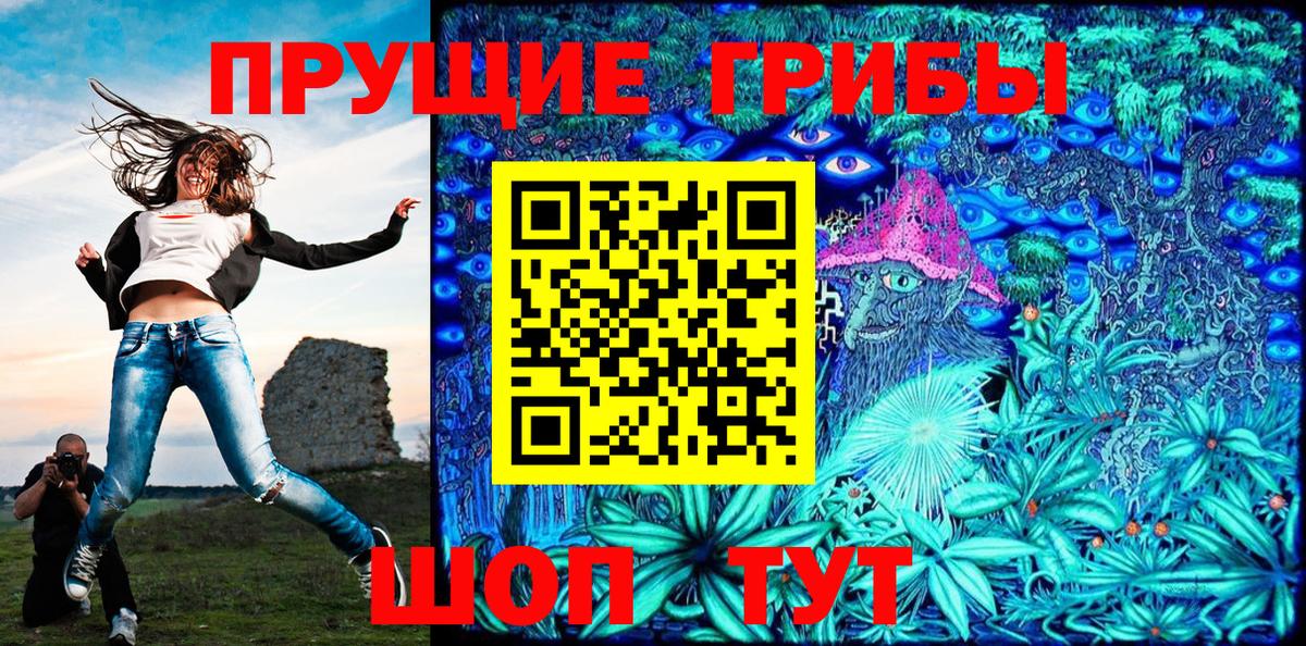Галлюциногенные грибы GOLDEN TEACHER  Вход с VPN  Чистополь 